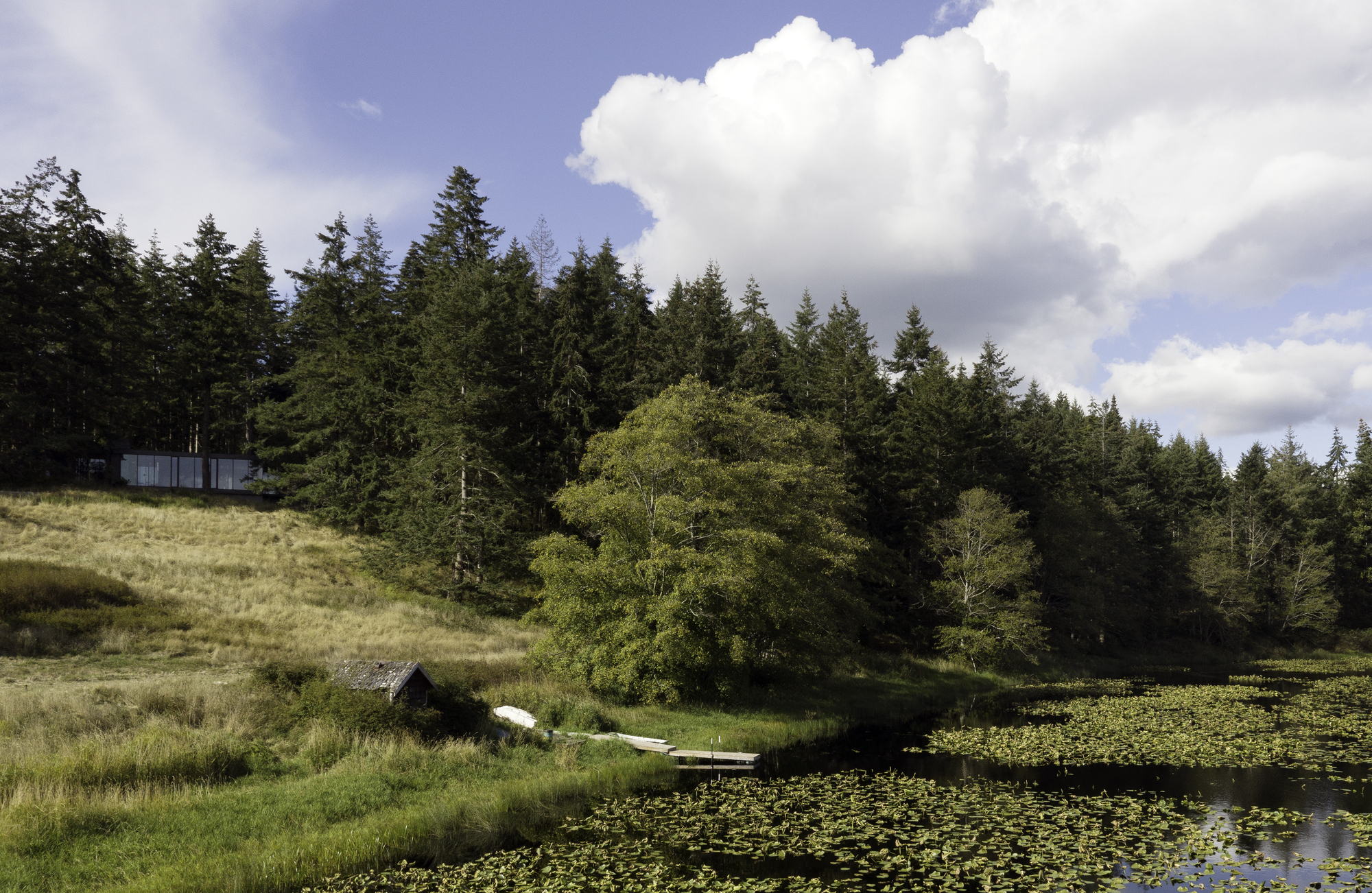 Whidbey Island Farmhouse 62